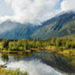 Meet your Posher, Sophia